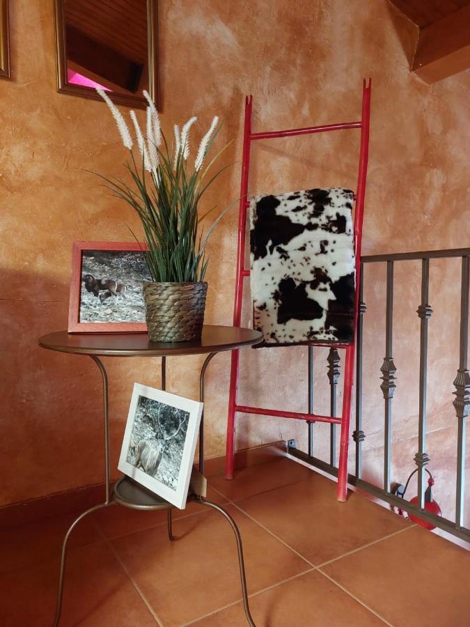 El Atico De Mijares Guest House Exterior photo